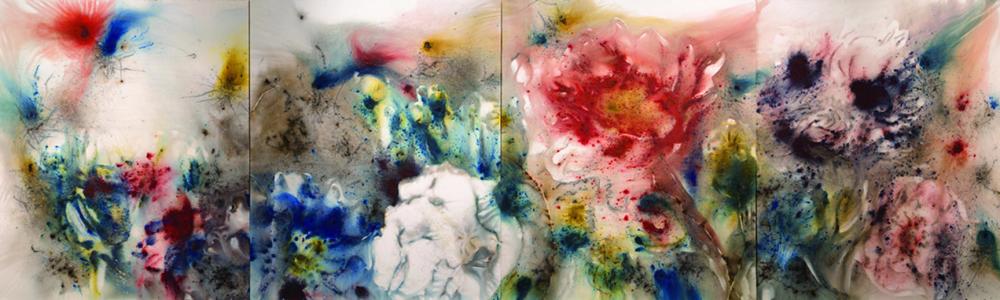 Gunpowder, Oxford, chines rireworks, poppies, ashmolean