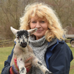 Seren Bell, exhibiting artist in mixed media at the Fosse Gallery, Stow on the Wold. Taunton, Tiverton,