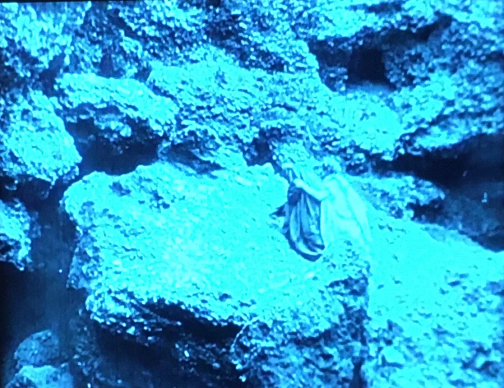 Virgil leading Dante through the Underworld, still from L’inferno, 1911 Italian film, remastered in 2011 by Fondazione Cinegeca Bologna., ashmolean museum, Oxford, Dante, celebrity